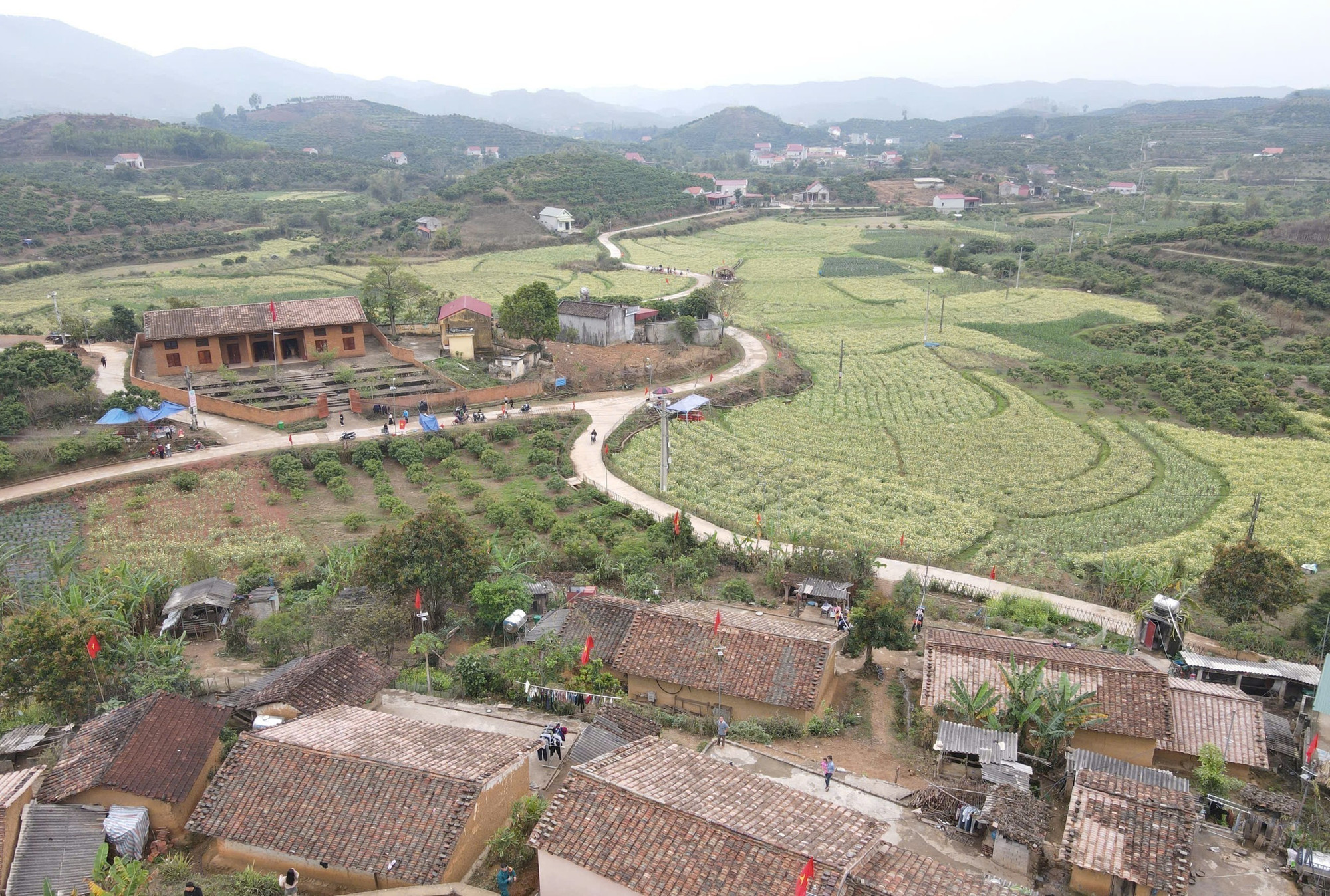 Bản Bắc Hoa tại , xã Tân Sơn (Bắc Ninh).