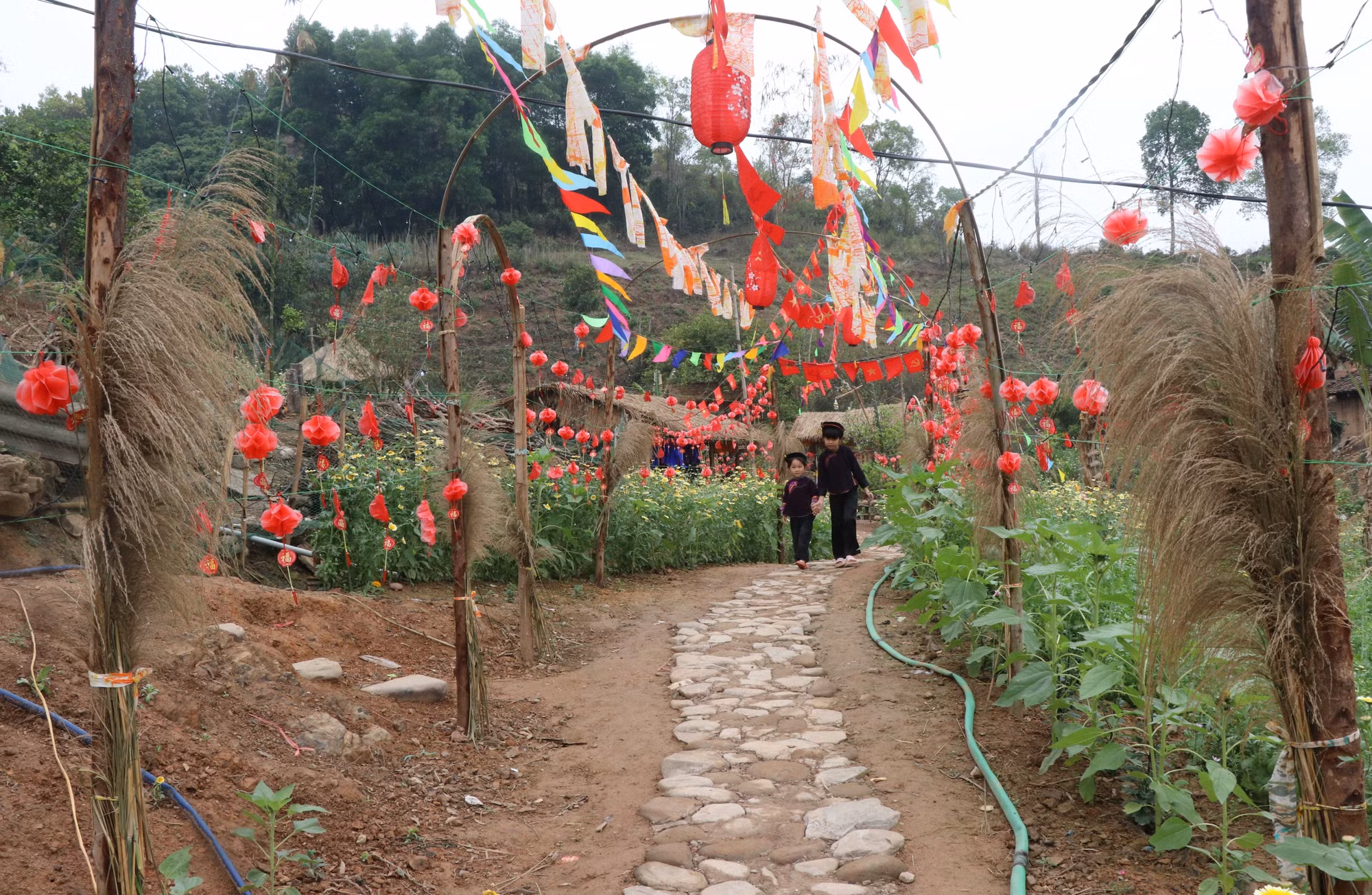 vung-cao-tan-son-01042026-07.jpg