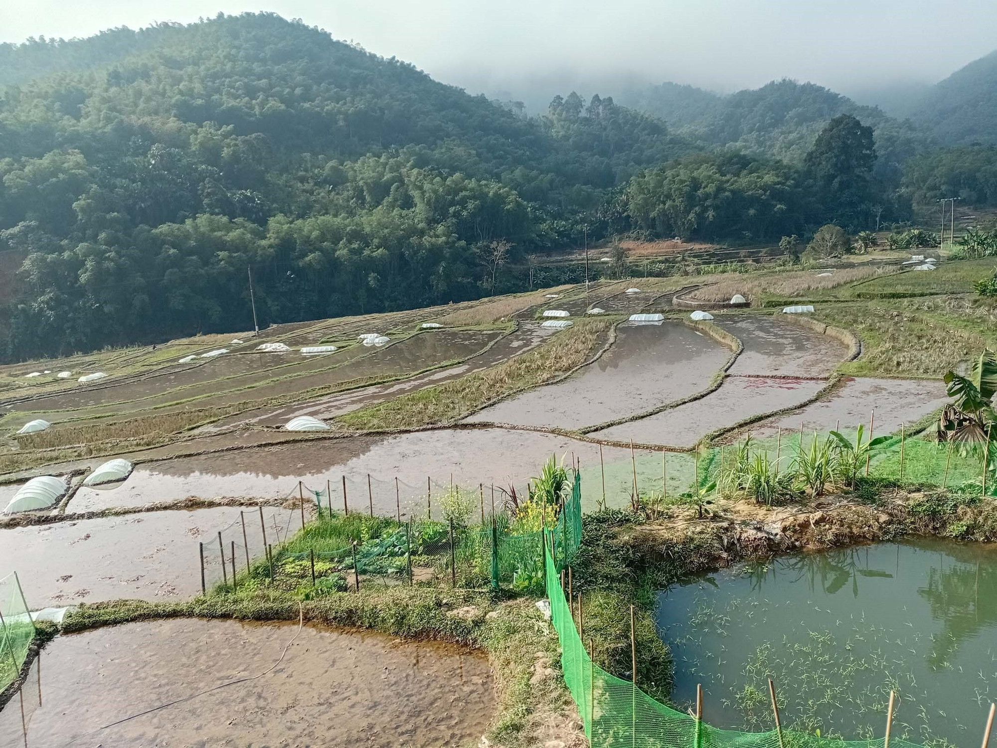 Người dân bản Phe, xã biên giới Tam Thanh, tỉnh Thanh Hóa đã ổn định cuộc sống, khôi phục được sản xuất sau lũ.