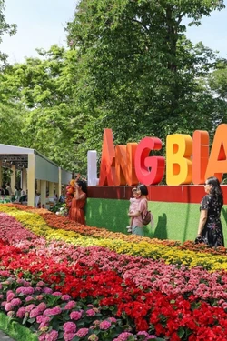 'Check-in' cao nguyên Lâm Đồng ngay tại phố đi bộ hồ Hoàn Kiếm