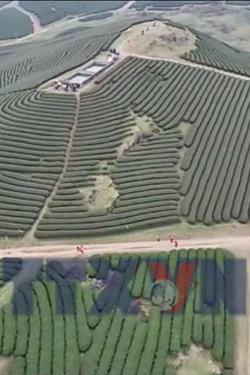 Chinh phục những cung đường mòn tuyệt đẹp ở Mộc Châu