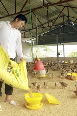 Tạo sinh kế bền vững, nâng cao thu nhập cho đồng bào dân tộc thiểu số