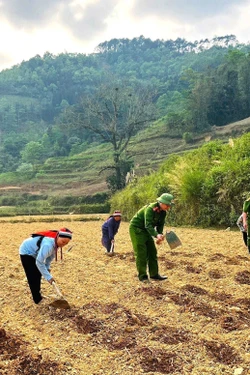 Sắc phục xanh gieo mầm no ấm nơi biên cương