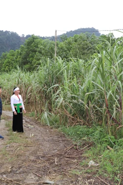 Chủ động tạo nguồn phát triển đảng viên vùng đồng bào dân tộc thiểu số