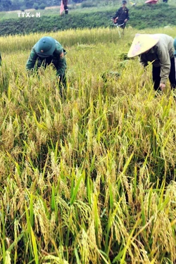Quân đội nhân dân Việt Nam: Từ Nhân dân mà ra, vì Nhân dân chiến đấu, vì Nhân dân phục vụ