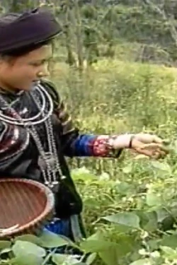 Dân tộc Pu Péo