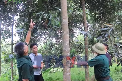 Những thương binh vượt khó làm kinh tế giỏi ở vùng cao Hưng Khánh