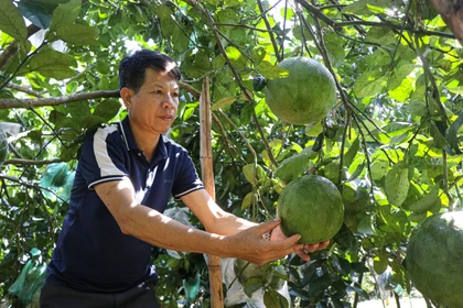 Người dân xã biên giới làm giàu nhờ mô hình kinh tế tổng hợp