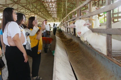 Phát huy lợi thế sông nước, xây dựng sản phẩm du lịch sinh thái đặc thù