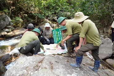 Một tuần 10 vụ phá rừng, tỉnh Lâm Đồng chỉ đạo kiên quyết xử lý cán bộ vi phạm