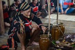 Sắc xuân rộn ràng qua Lễ chúc sức khỏe của người Gia Rai