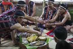 Tái hiện lễ kết nghĩa Cơ Tu: Gìn giữ mạch nguồn đoàn kết giữa đại ngàn