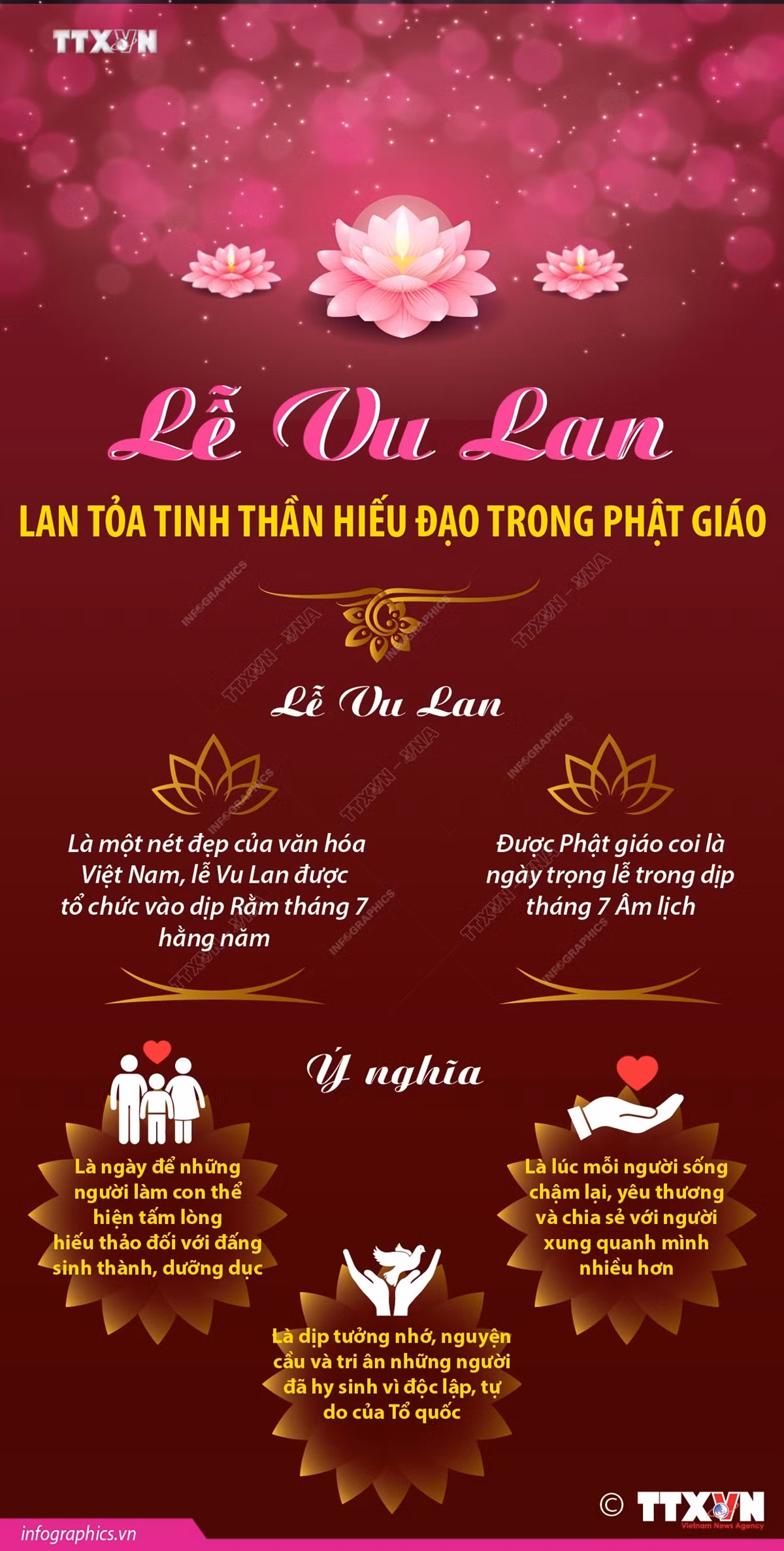 vna_potal_le_vu_lan_lan_toa_tinh_than_hieu_dao_trong_phat_giao_131942466_7542473.jpeg
