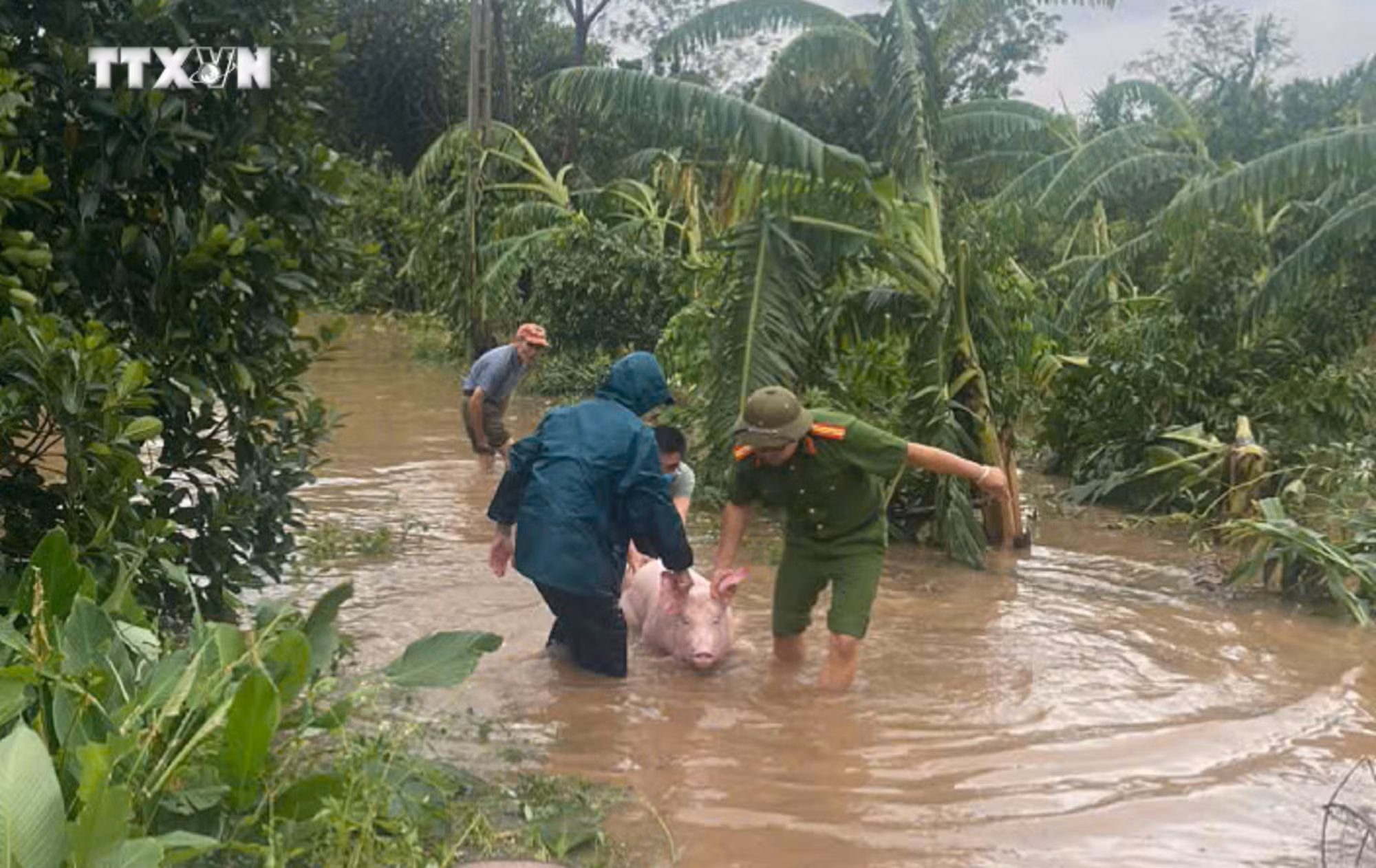 vna_potal_ha_noi_canh_bao_ngap_lut_tren_dien_rong_7585879.jpg