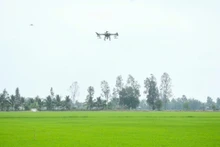 Hiệu quả tích cực từ chuyển đổi số trong hợp tác xã