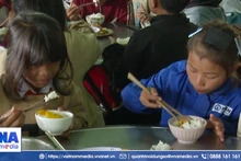 Nỗ lực duy trì bữa ăn bán trú cho học sinh vùng khó Quảng Ngãi