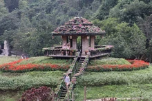 'Đảo hoa' khoe sắc giữa thiên nhiên di sản