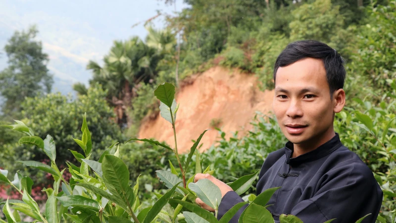 Chàng trai người Tày với thương hiệu Chè Chốt 468