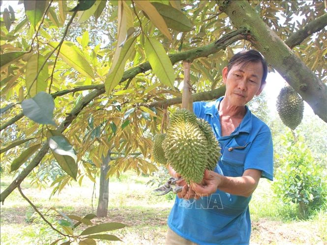 Nguồn vốn chính sách góp phần chống tái nghèo tại vùng đồng bào thiểu số ở Bình Phước