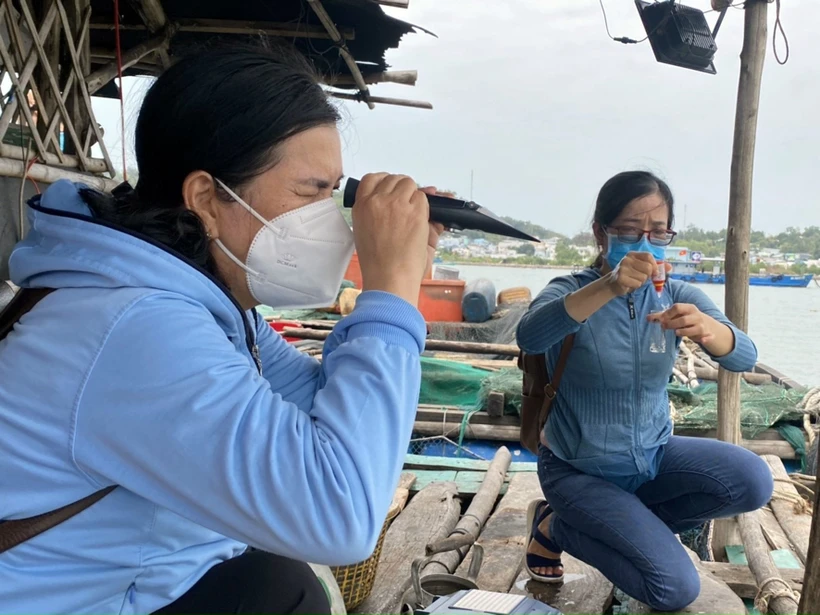 Cán bộ chuyên môn ngành thủy sản lấy nước biển kiểm định tìm nguyên nhân cũng như giải pháp xử lý hiện tượng cá, hàu nuôi bị chết. Ảnh: TTXVN phát