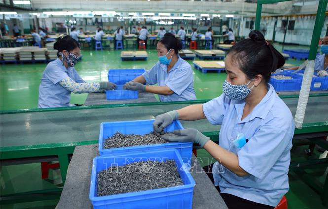 Nghị quyết 68 sẽ giúp doanh nghiệp, người sử dụng lao động gỡ khó trong bối cảnh, dịch COVID -19 ảnh hưởng rất lớn đến hoạt động sản xuất kinh doanh. Ảnh: TTXVN