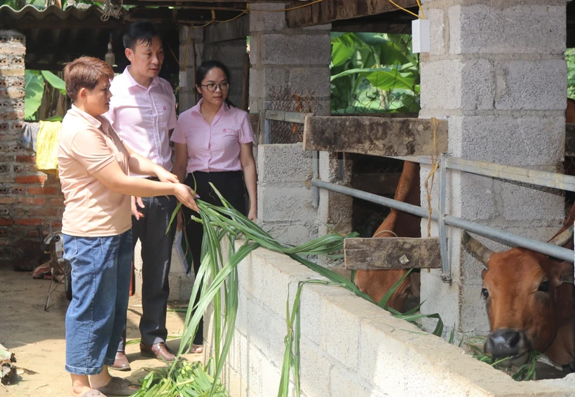 Hiệu quả các chương trình tín dụng chính sách xã hội tại Cao Bằng