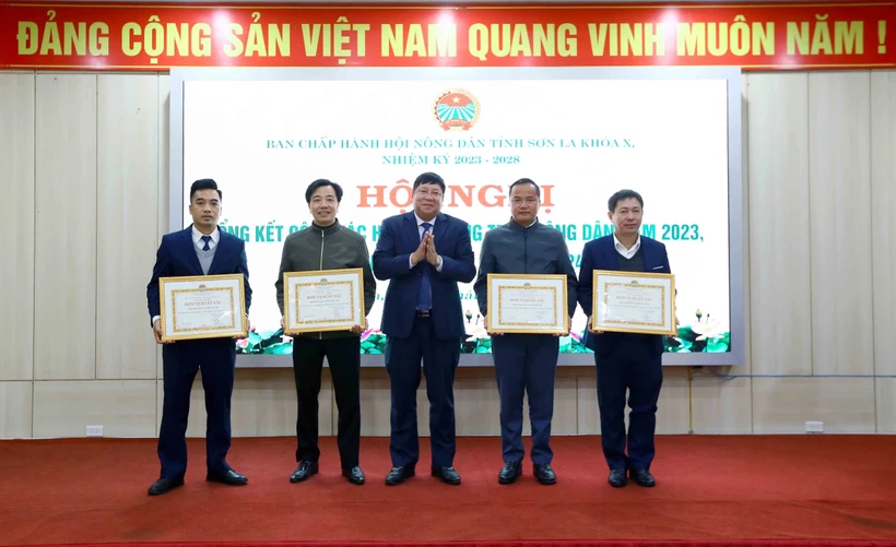 Nông dân Sơn La khẳng định vai trò trong phát triển kinh tế nông thôn
