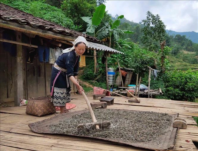 Người dân Hoài Khao có cuộc sống gần gũi thiên nhiên và được thiên nhiên ban tặng nhiều món quà quý giá. Chè dây là một trong những món quà quý đó. Chè dây được hái từ rừng, phơi khô, pha nước uống rất có lợi cho sức khỏe, đặc biệt là những người bị bệnh 