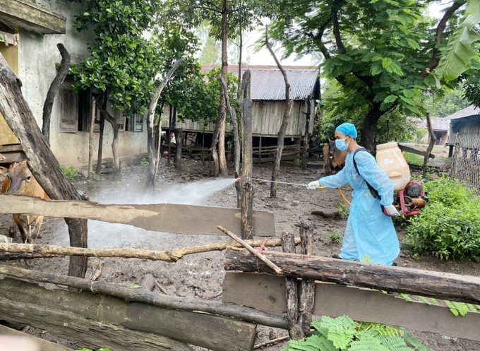 Phun khử trùng phòng chống các bệnh trên động vật tại thị xã Buôn Hồ. Ảnh: TTXVN phát potal-dak-lak-trien-khai-giai-phap-phong-chong-dich-benh-gia-suc-gia-cam-7454009.jpg