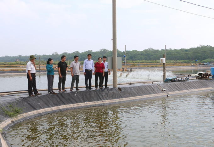 potal-soc-trang-tang-cuong-cac-giai-phap-phong-benh-cho-vu-tom-nuoi-nam-2025-8017204.jpg