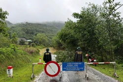 Bộ độ Biên phòng giúp dân cắt cây tỉa cành, cảnh bão mưa lũ trên các tuyến giao thông