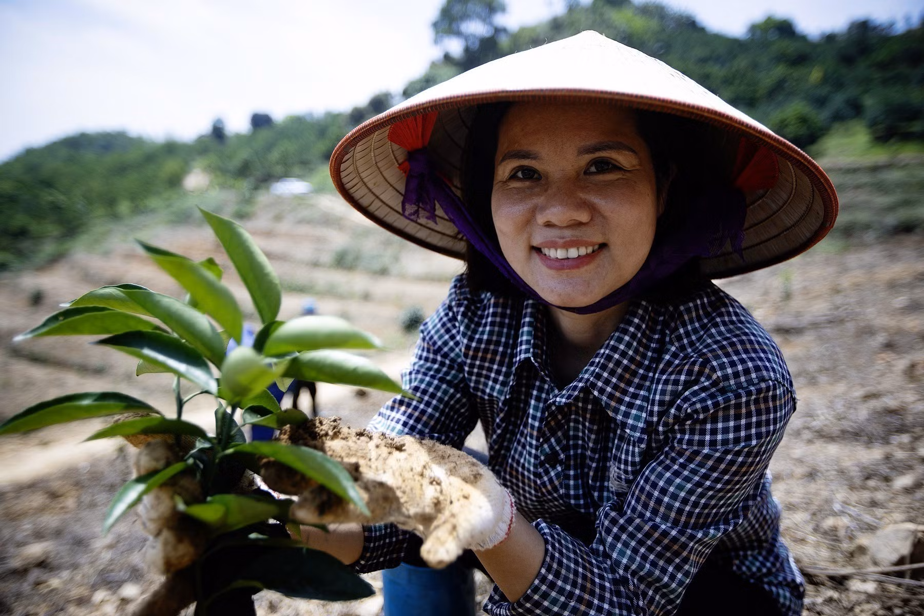 potal-nu-nong-dan-va-hanh-trinh-dua-thuong-hieu-cam-cao-phong-vuon-tam-7992911.jpg