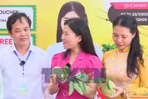 Giúp nông dân tiêu thụ nông sản chủ lực qua thương mại điện tử