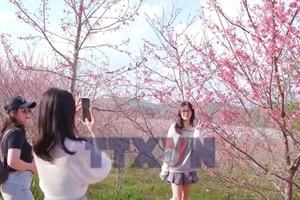 Khởi sắc du lịch Điện Biên đầu năm 2026