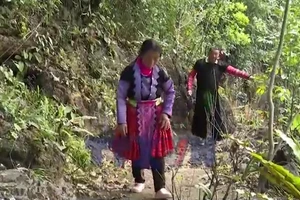 Người Mông Pà Cò giữ rừng để phát triển du lịch cộng đồng bền vững