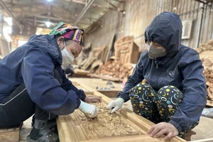 Đổi mới toàn diện, nâng cao chất lượng đào tạo nghề cho lao động nông thôn