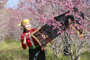 Khai mạc Lễ hội Hoa anh đào xã Mường Phăng