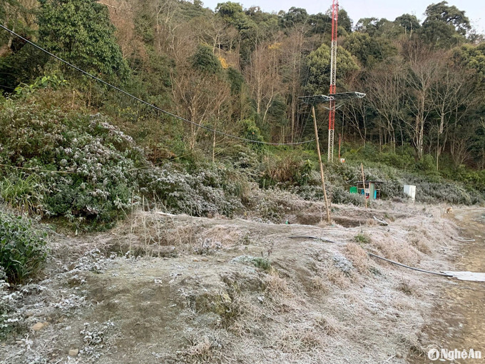 Băng giá phủ trắng bản làng ở bản Buộc Mú 1, xã Na Ngoi (Kỳ Sơn). Ảnh: baonghean.vn bna-na-ngoi-2.jpg