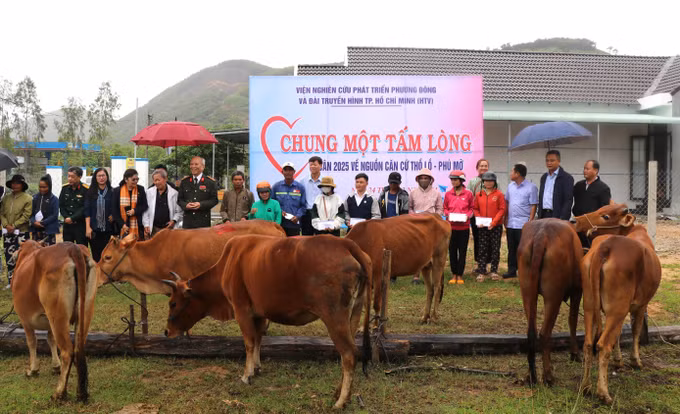potal-phu-yen-trao-qua-tet-va-bo-giong-cho-dong-bao-dan-toc-thieu-so-7773478.jpg