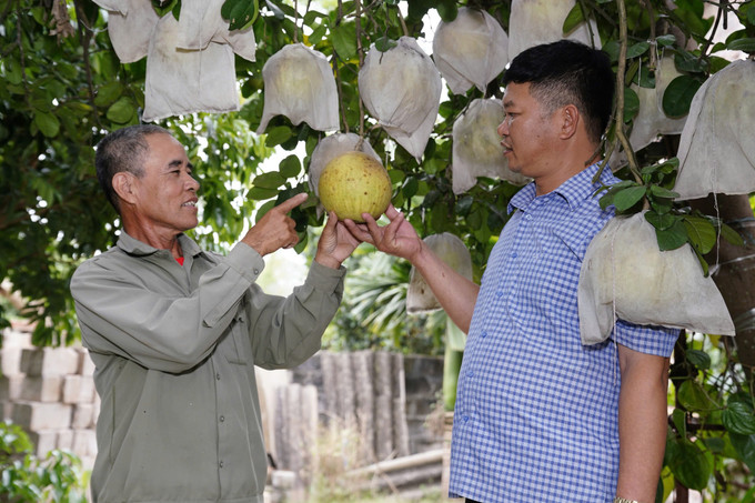 Ông Phúc (bên trái) đã mạnh dạn chuyển đổi mô hình kinh tế từ làm nông truyền thống sang phát triển đa dạng hóa các lĩnh vực chăn nuôi, trồng rừng và trồng cây ăn quả. tam-guong-3.jpg