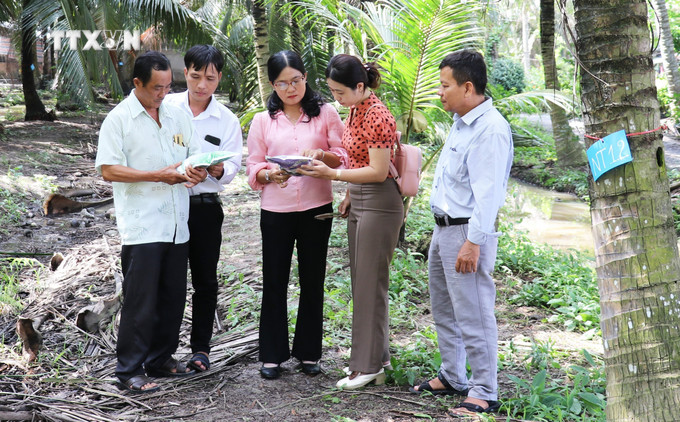 TS. Trần Thị Mỹ Hạnh (thứ ba, phải sang), Viện Cây ăn quả miền Nam, giới thiệu chế phẩm sinh học để phòng ngừa, quản lý sâu đầu đen trên cây dừa. Ảnh: Hữu Chí - TTXVN vna_potal_tien_giang_no_luc_khong_che_sau_dau_den_bao_ve_vuon_dua__7653761.jpg