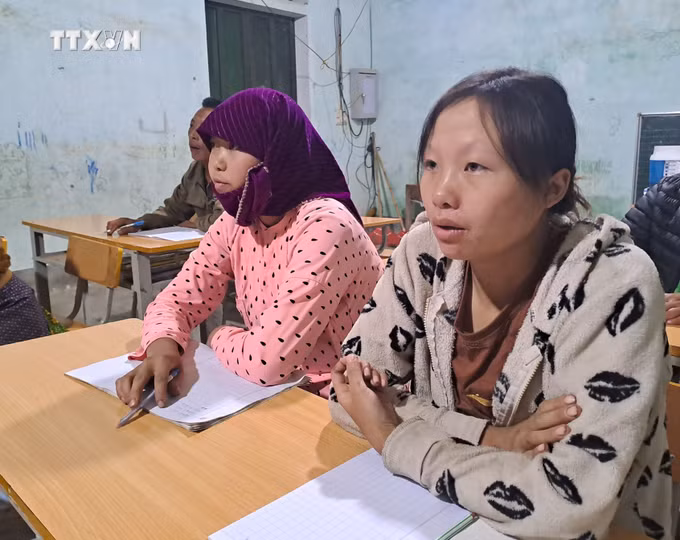 vna_potal_miet_mai_“gieo_cai_chu”_tren_cao_nguyen_da_dong_van_ha_giang_7692306.jpg