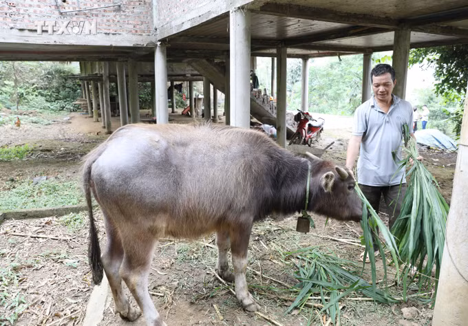 vna_potal_thai_nguyen_phu_luong_trien_khai_nhieu_du_an_giam_ngheo_ben_vung_7330091.jpg