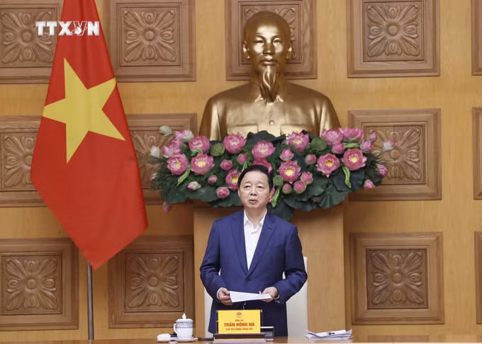 vna_potal_pho_thu_tuong_tran_hong_ha_hop_nghe_bao_cao_chu_truong_dau_tu_chuong_trinh_muc_tieu_quoc_gia_ve_phat_trien_van_hoa__7276165.jpg