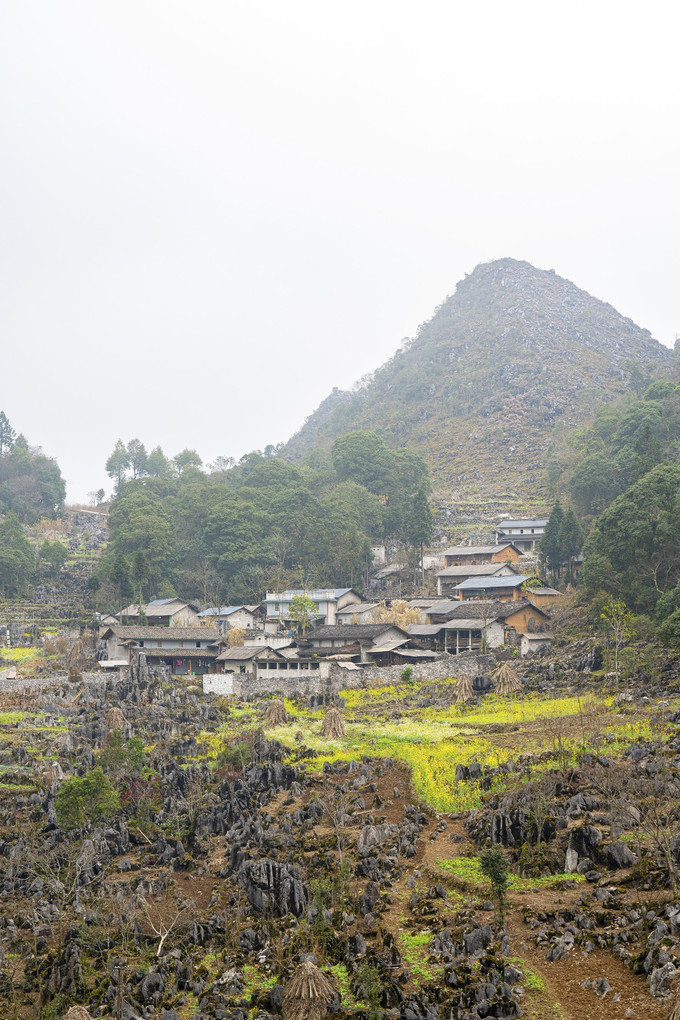 Sắc hoa tô điểm cho những ngôi nhà trên Cao nguyên đá Đồng Văn, Hà Giang. Ảnh: Khánh Hoà/TTXVN Sắc hoa tô điểm cho những ngôi nhà trên Cao nguyên đá Đồng Văn, Hà Giang. Ảnh: Khánh Hoà/TTXVN