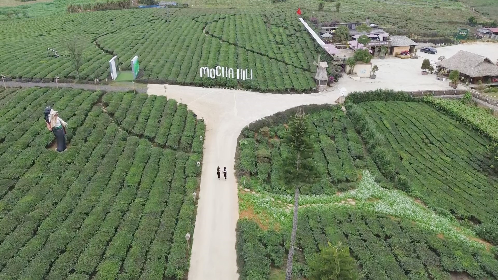 Du khách tham quan cánh đồng chè dịp nghỉ lễ ở cao nguyên Mộc Châu, tỉnh Sơn La. Ảnh: TTXVN phát. potal-son-la-moc-chau-uoc-don-khoang-52000-luot-du-khach-dip-nghi-le-8012090.jpg