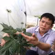 Phát triển chuỗi giá trị và sinh kế bền vững ở vùng lõi Măng Ri