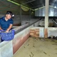 Mô hình nuôi dúi cho thu nhập hàng trăm triệu đồng mỗi năm