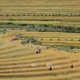 Tiềm năng du lịch từ vẻ đẹp ruộng bậc thang Miền Đồi