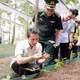 Bàn cơ chế, giải pháp phát triển sâm Lai Châu tại các xã biên giới